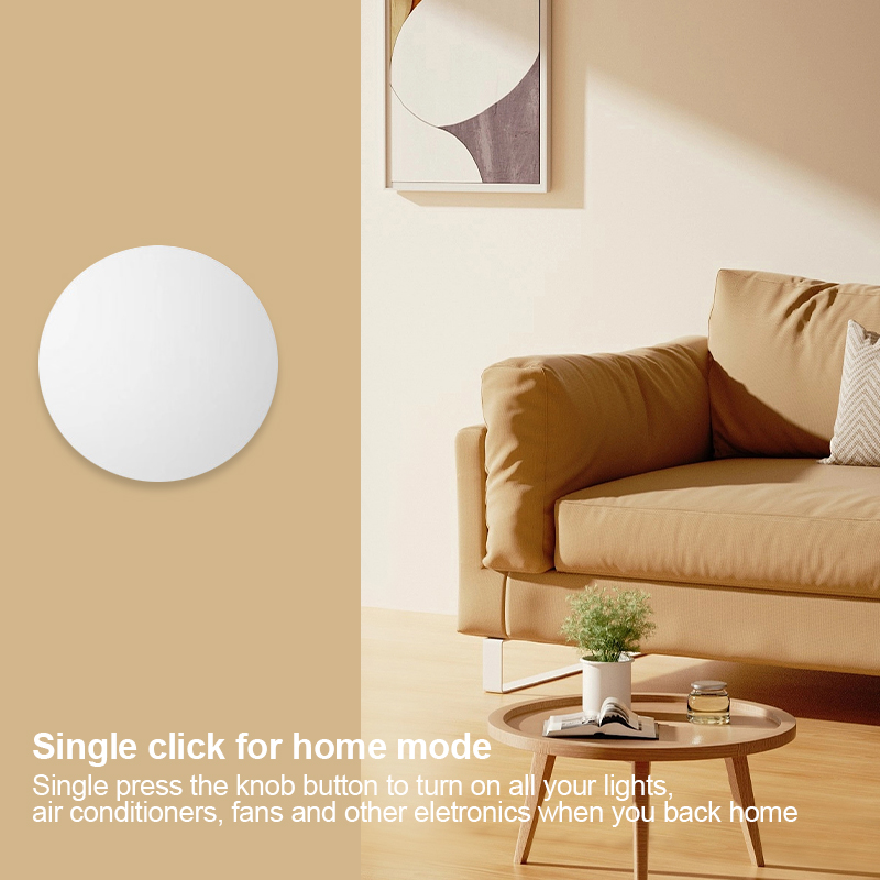 Interruttore Wireless Intellig - Smart Home Z Wave recensione e prezzo