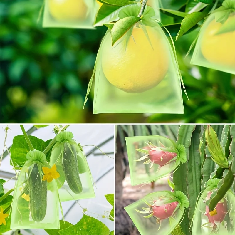 100 sacchetti protettivi verdi - Smart Home Green recensione e prezzo