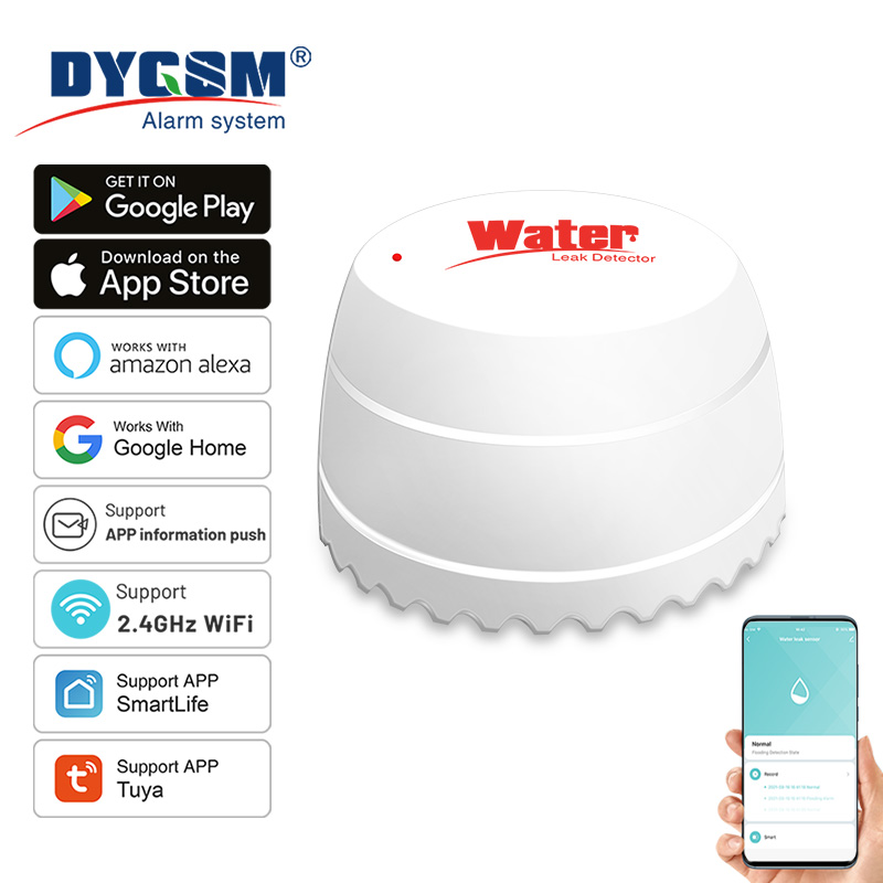 Tuya WiFi Rilevatore di perdit - Smart Home Green recensione e prezzo