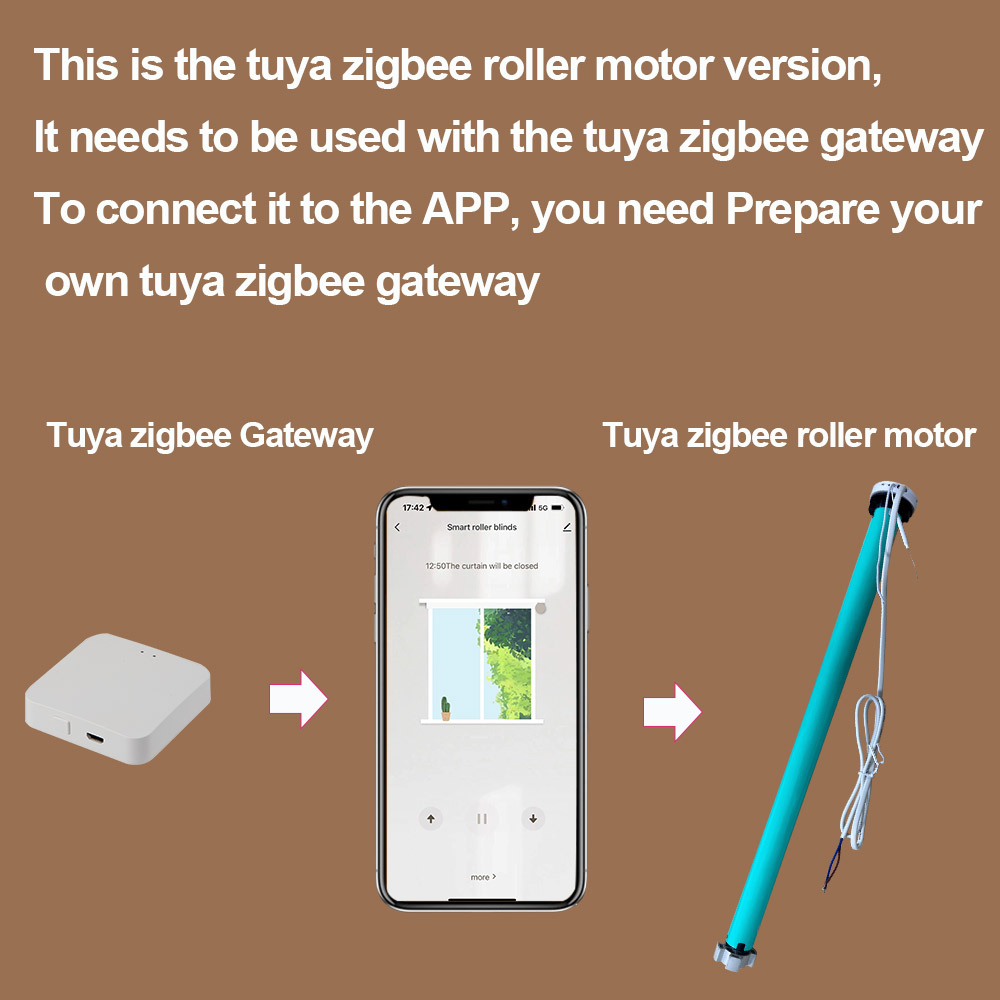2N AC100-240V Tuya Zigbee Smar - Smart Home Voice Assistant recensione e prezzo