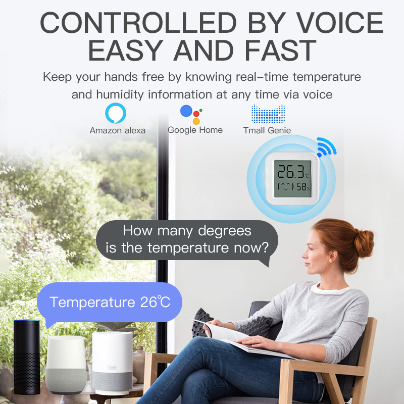 Sensore di umidità della tempe - Smart Home Voice Assistant recensione e prezzo