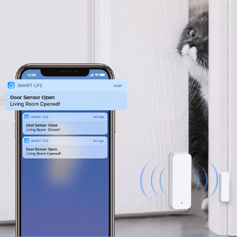 Sensore di contatto per porte  - Smart Home Solution recensione e prezzo