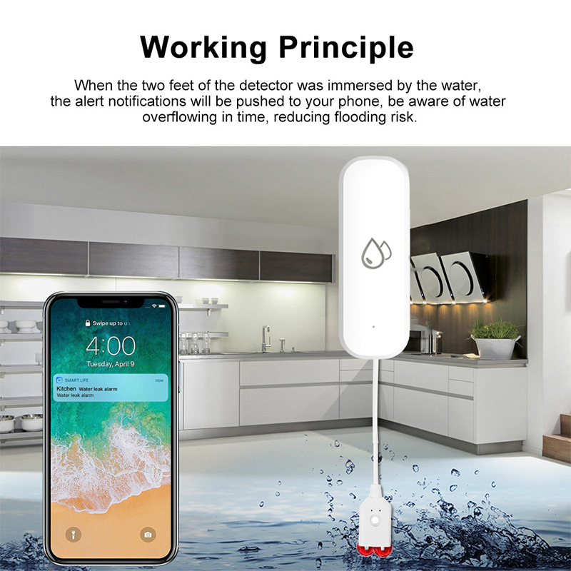 Sensore Allarme Perdite d'Acqu - Smart Home Green recensione e prezzo