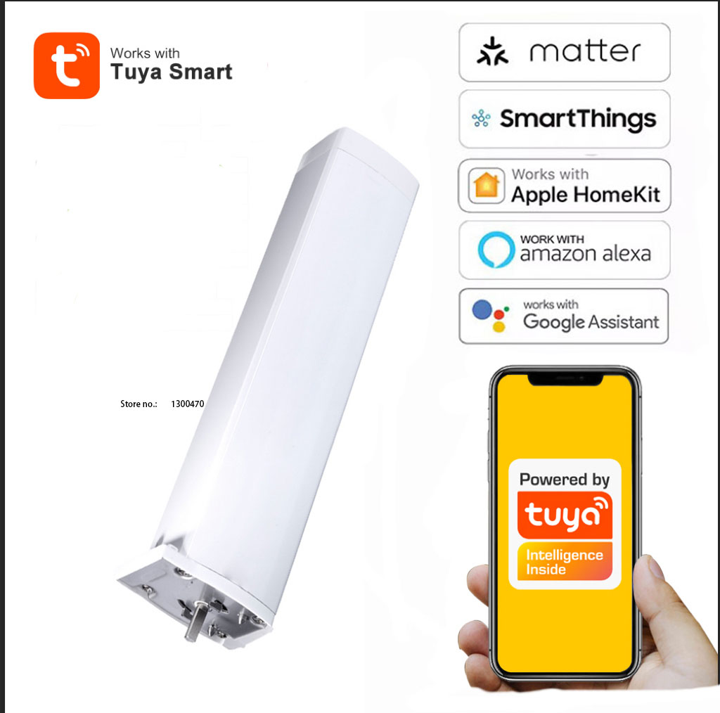 Tuya Matter Wifi Tenda Motore  - Smart Home Voice Assistant recensione e prezzo