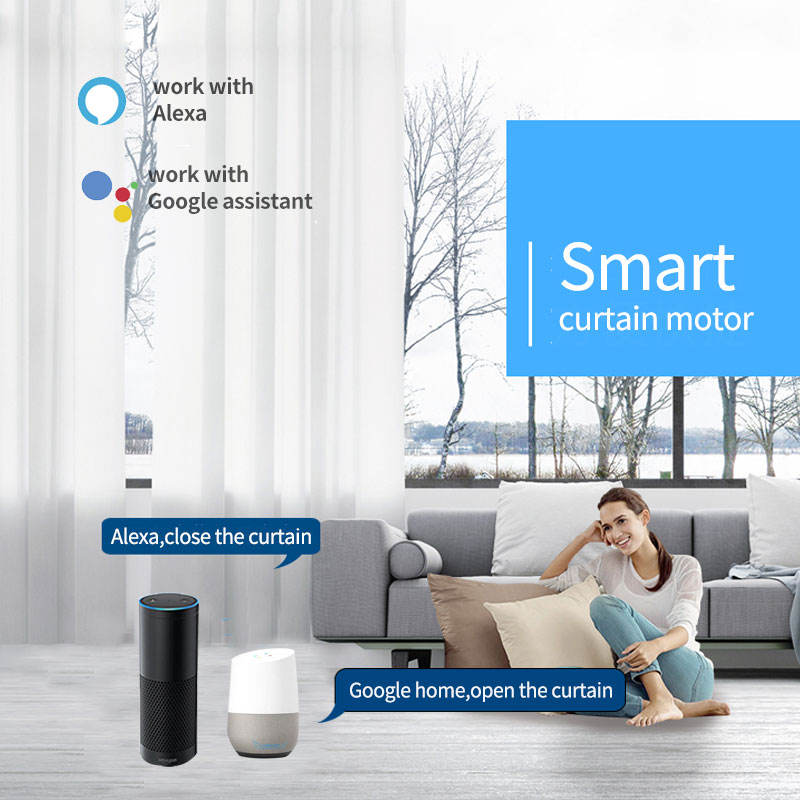 Tuya Matter Wifi Tenda Motore  - Smart Home Voice Assistant recensione e prezzo