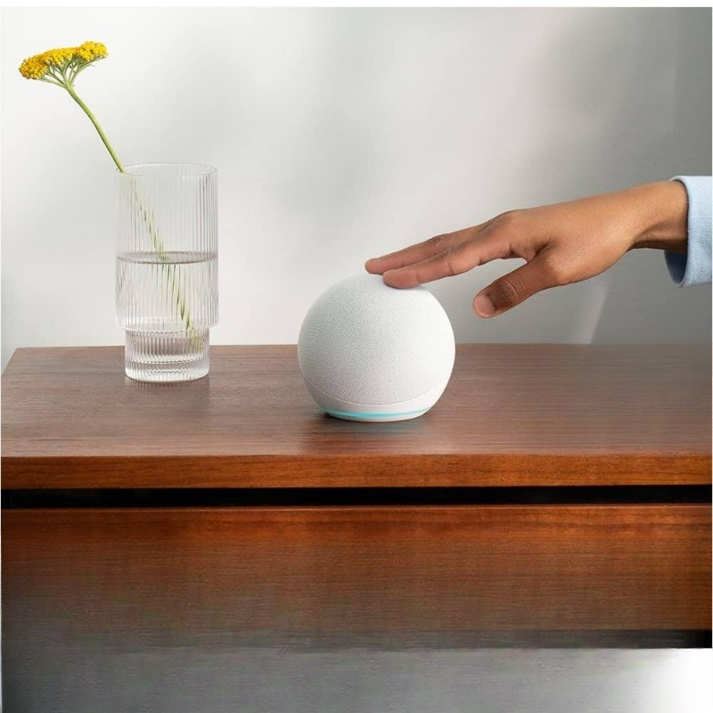 Altoparlante Intelligente con  - Smart Home Voice Assistant recensione e prezzo