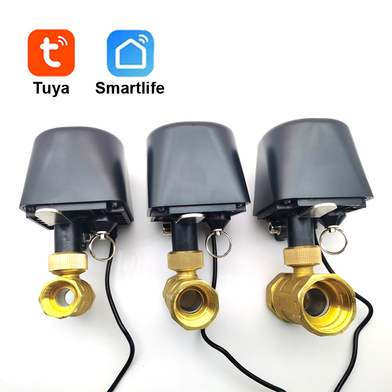 Tuya WiFi o Zigbee Valvola del - Smart Home Green recensione e prezzo
